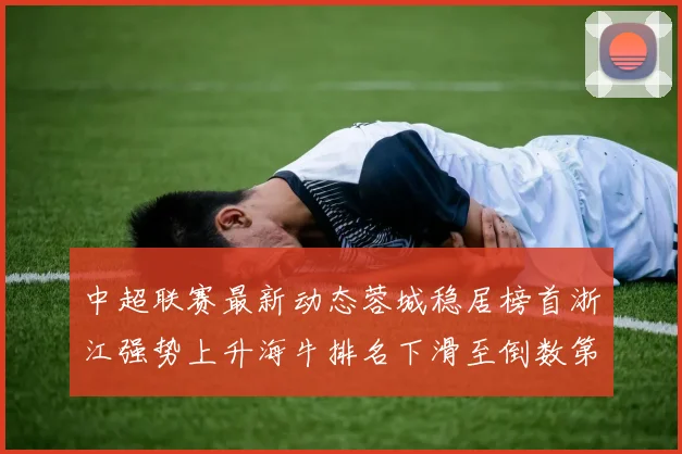 中超联赛最新动态蓉城稳居榜首浙江强势上升海牛排名下滑至倒数第三