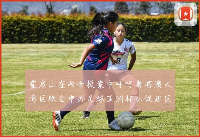 霍启山在两会提案中呼吁粤港澳大湾区联合申办足球亚洲杯以促进区域发展